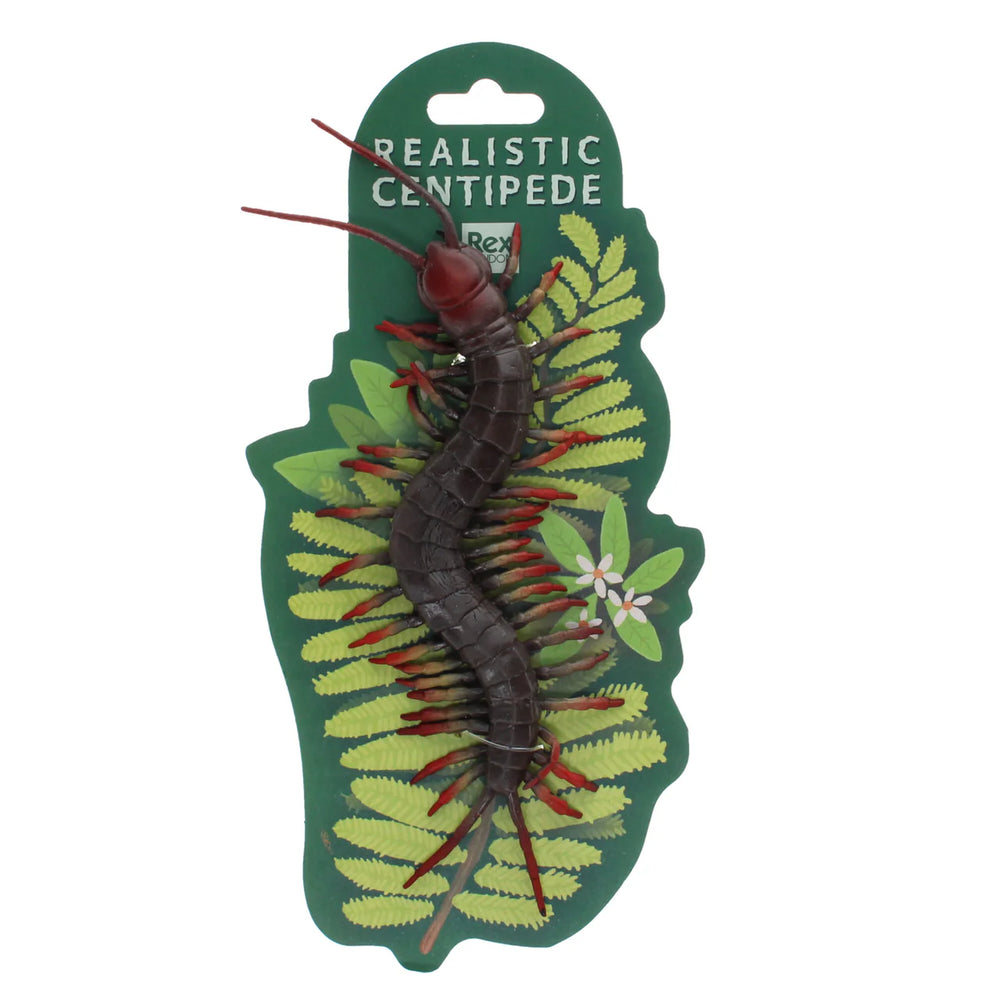 Realistic Toy - Centipede - Rex London