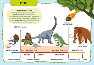 Arts & Crafts - Dinosaurs - Sassi