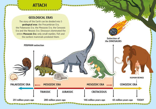Arts & Crafts - Dinosaurs - Sassi
