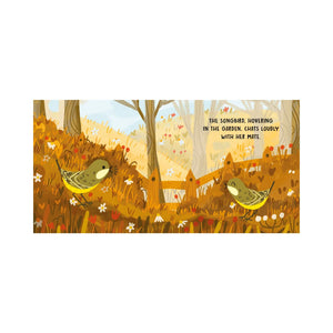 Board Book Sweet Sounds Stories - Birds - Sassi