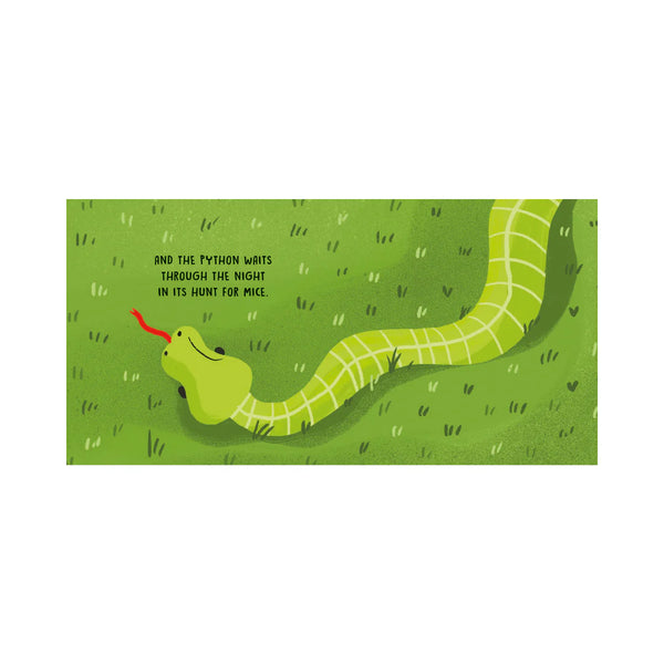 Board Book Sweet Sounds Stories - The Jungle - Sassi