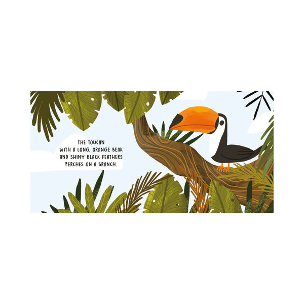 Board Book Sweet Sounds Stories - The Jungle - Sassi
