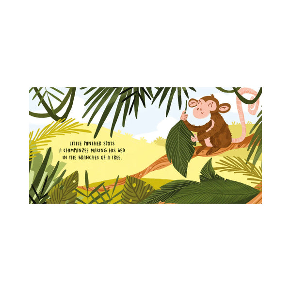 Board Book Sweet Sounds Stories - The Jungle - Sassi