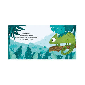 Board Book Sweet Sounds Stories - The Jungle - Sassi