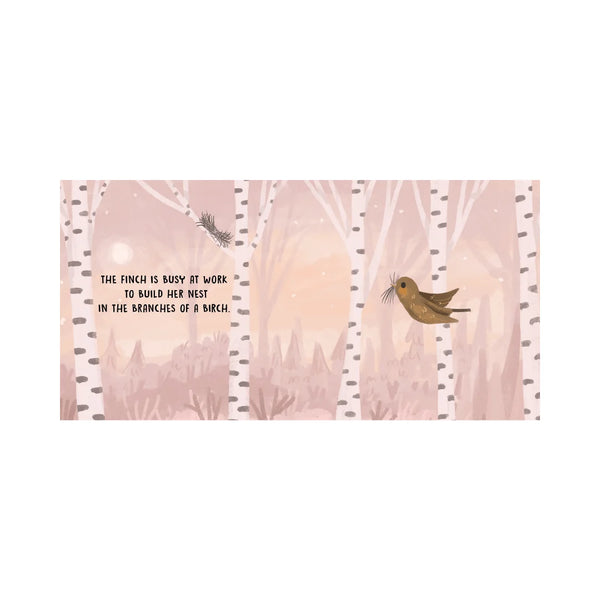 Board Book Sweet Sounds Stories - Birds - Sassi
