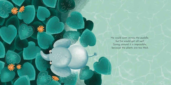 Board Book - Chewy's Memory - Sassi
