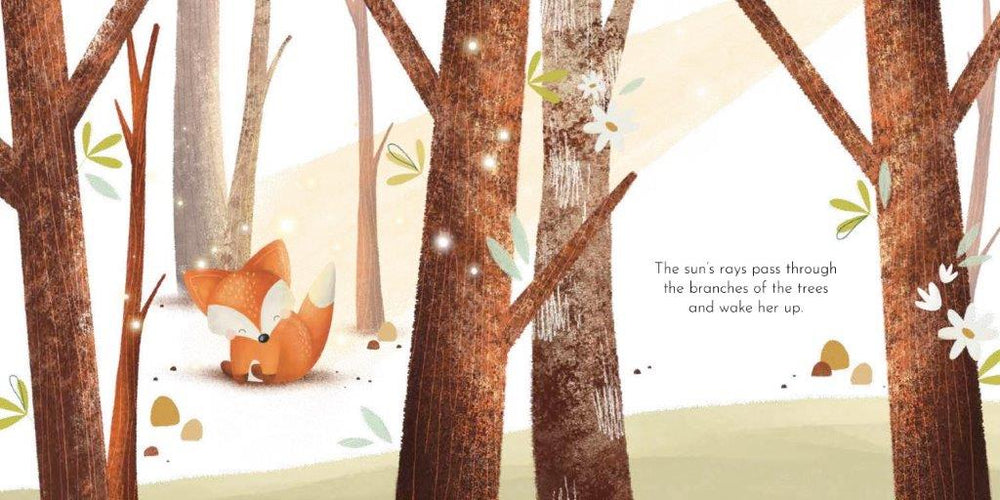 Board Book - Crunchy's Cleverness - Sassi