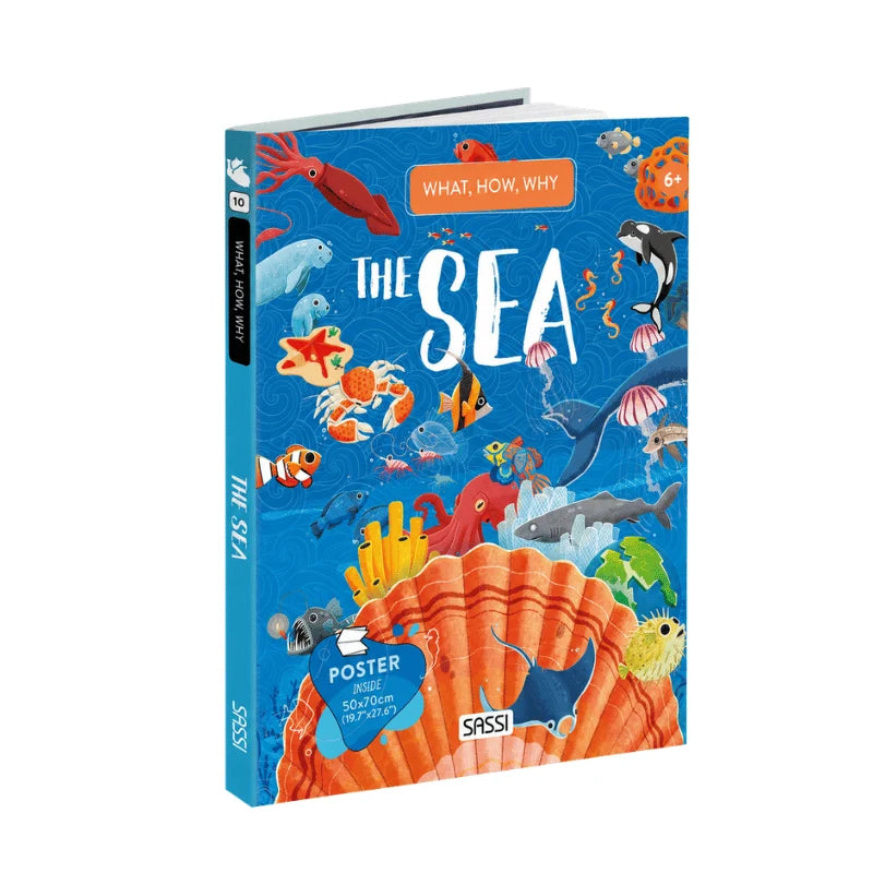 What How and Why The Sea Book and Poster - Sassi