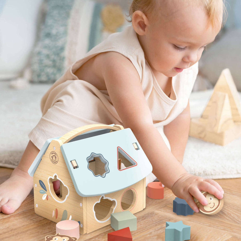 House Shape Sorter with 8 blocks - Speedy Monkey