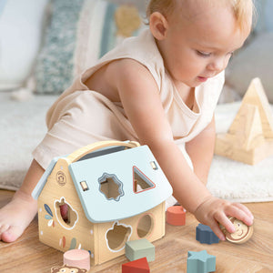 House Shape Sorter with 8 blocks - Speedy Monkey