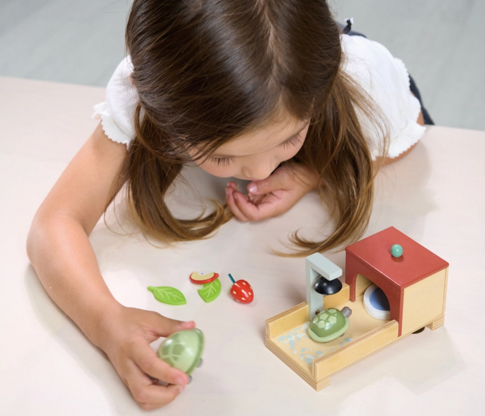 *Tortoise Pet Set - Tender Leaf Toys