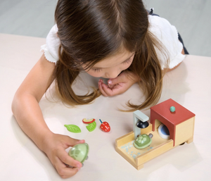 *Tortoise Pet Set - Tender Leaf Toys