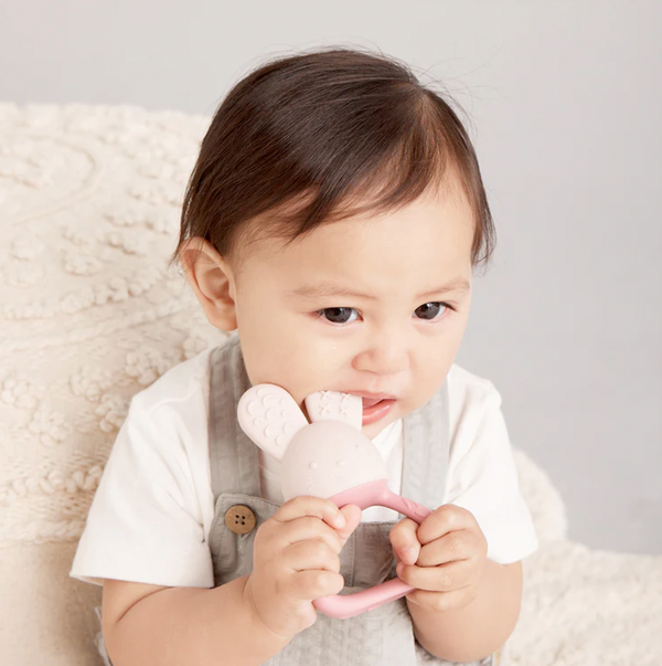 Chill + Fill Teether - Blush - B Box