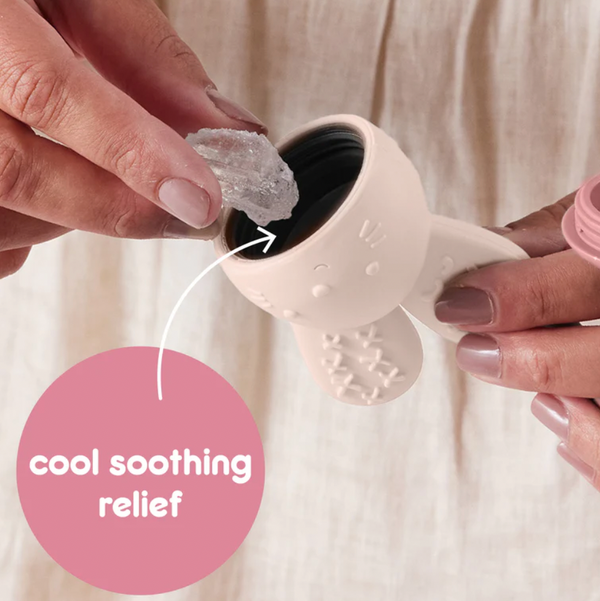 Chill + Fill Teether - Blush - B Box
