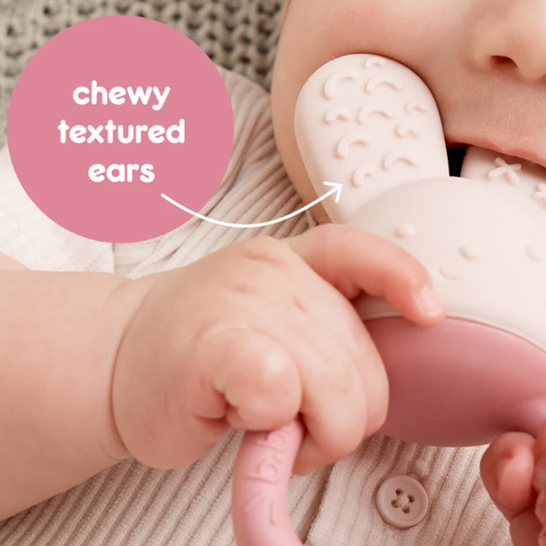 Chill + Fill Teether - Blush - B Box