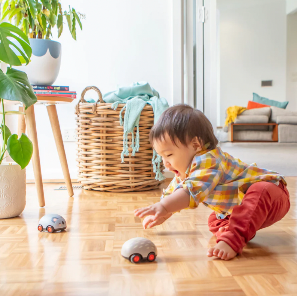 Zoomies - Aussie Animals - Tiger Tribe