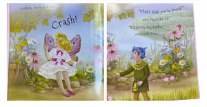 Little Fairy to the Rescue - Hardcover - Shirley Barber