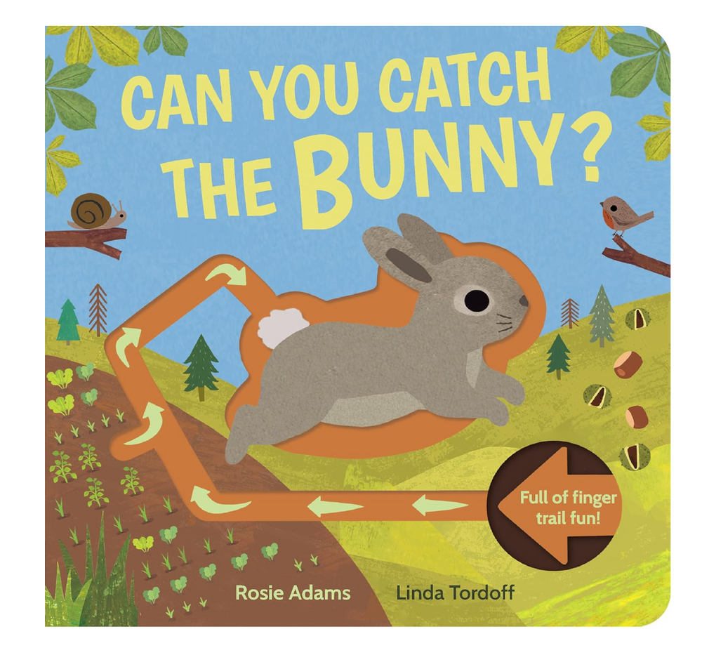 Can You Catch the Bunny? Board book