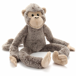 Mani the Monkey - Nana Huchy