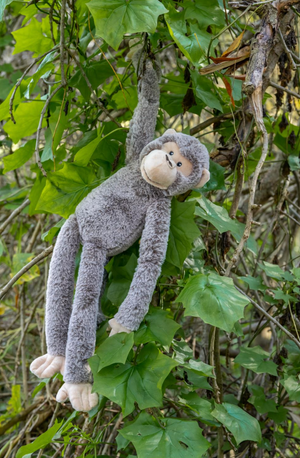 Mani the Monkey - Nana Huchy