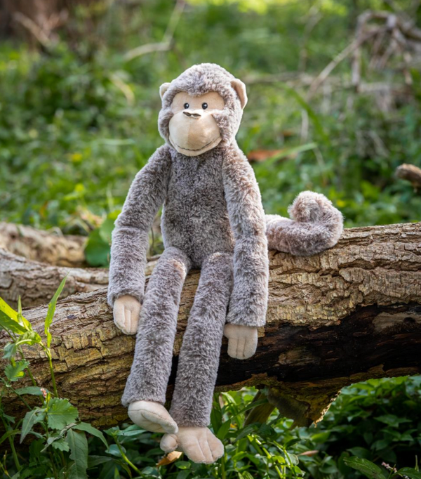 Mani the Monkey - Nana Huchy