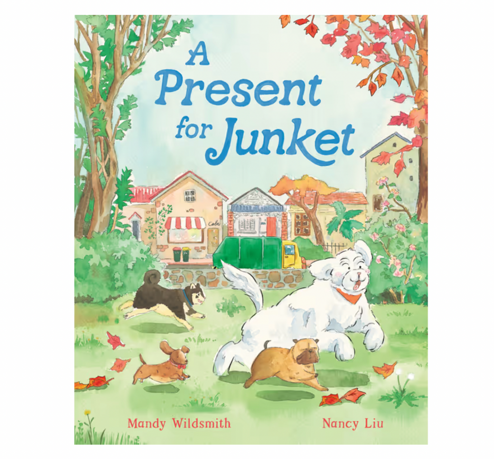 A Present for Junket - Kids Book