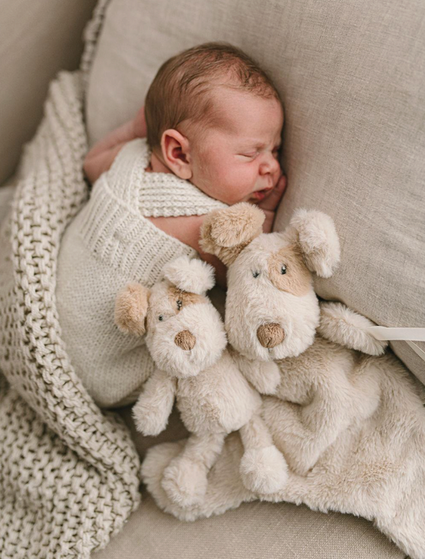 Buddy the Dog Rattle - Nana Huchy