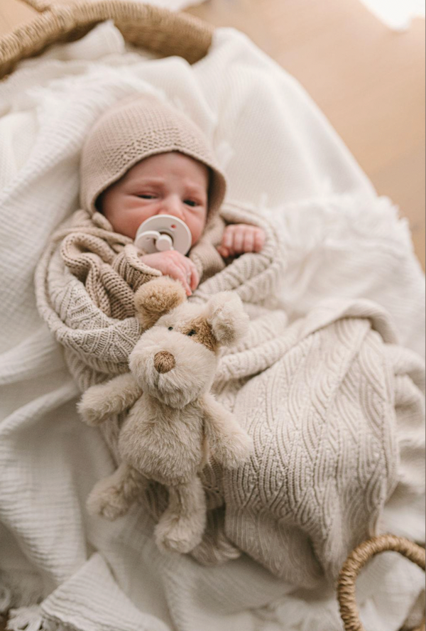 Buddy the Dog Rattle - Nana Huchy