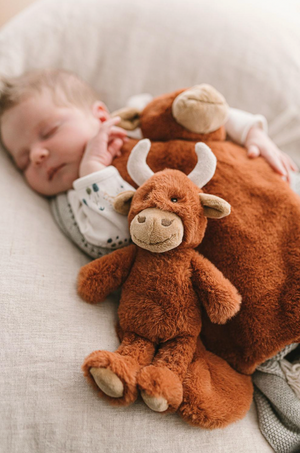 Henry the Highland Cow Rattle - Nana Huchy