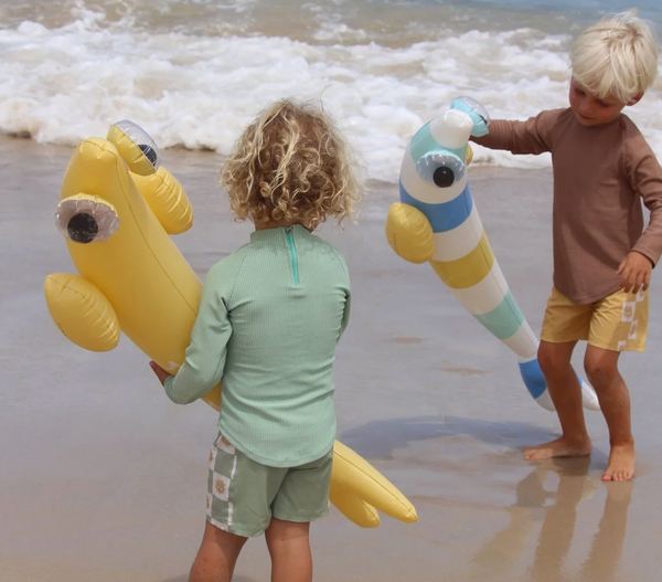 Inflatable Noodle - Finn the Fish 2 pack - Sunnylife