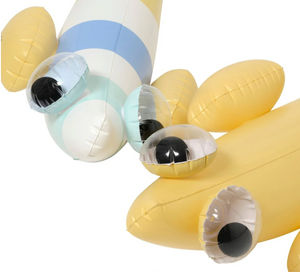 Inflatable Noodle - Finn the Fish 2 pack - Sunnylife