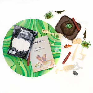 Tray Play Bundle - Dino - Jellystone