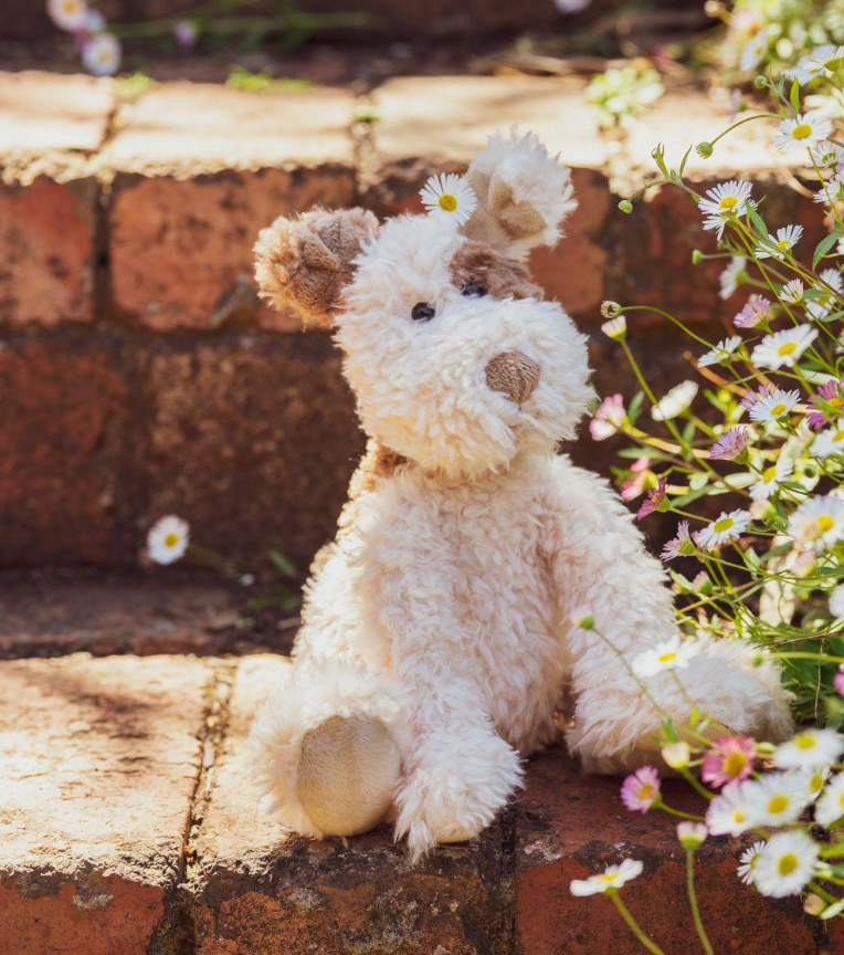 Buddy the Pup - Nana Huchy