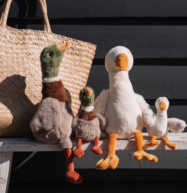 Hugo the Mallard Duck - Nana Huchy