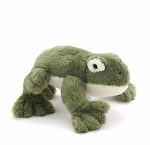 Finley the Frog - Nana Huchy