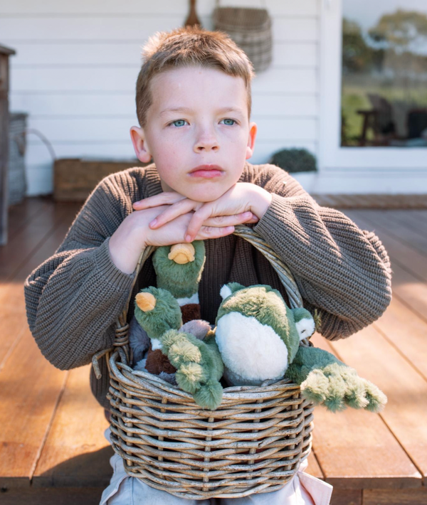 Finley the Frog - Nana Huchy