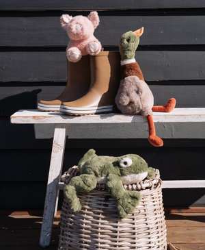 Finley the Frog - Nana Huchy