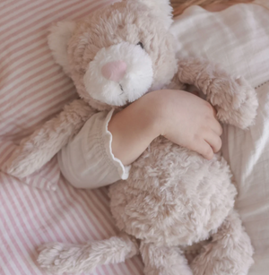 Pickles the Weighted Cat Toy - Mindful & Co Kids