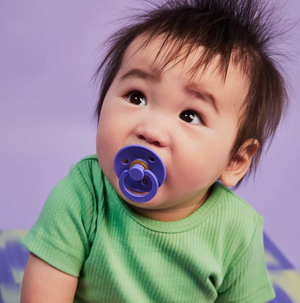 Bibs Dummies - Hush/Grape - Size One - Bibs Denmark