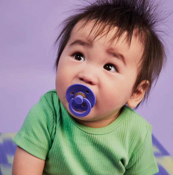 Bibs Dummies - Hush/Grape - Size Two - Bibs Denmark