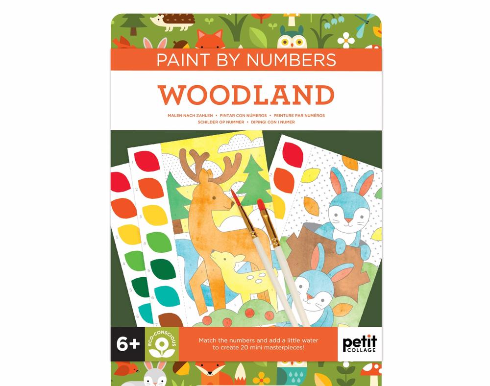 Paint by Numbers - Woodland - Petit College