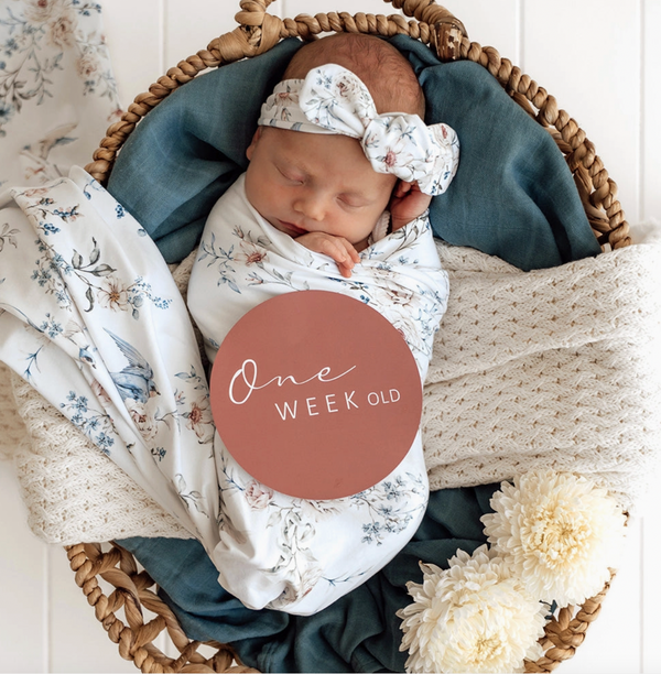 Sweet Swallows Organic Jersey Wrap & Topknot Set - Snuggle Hunny