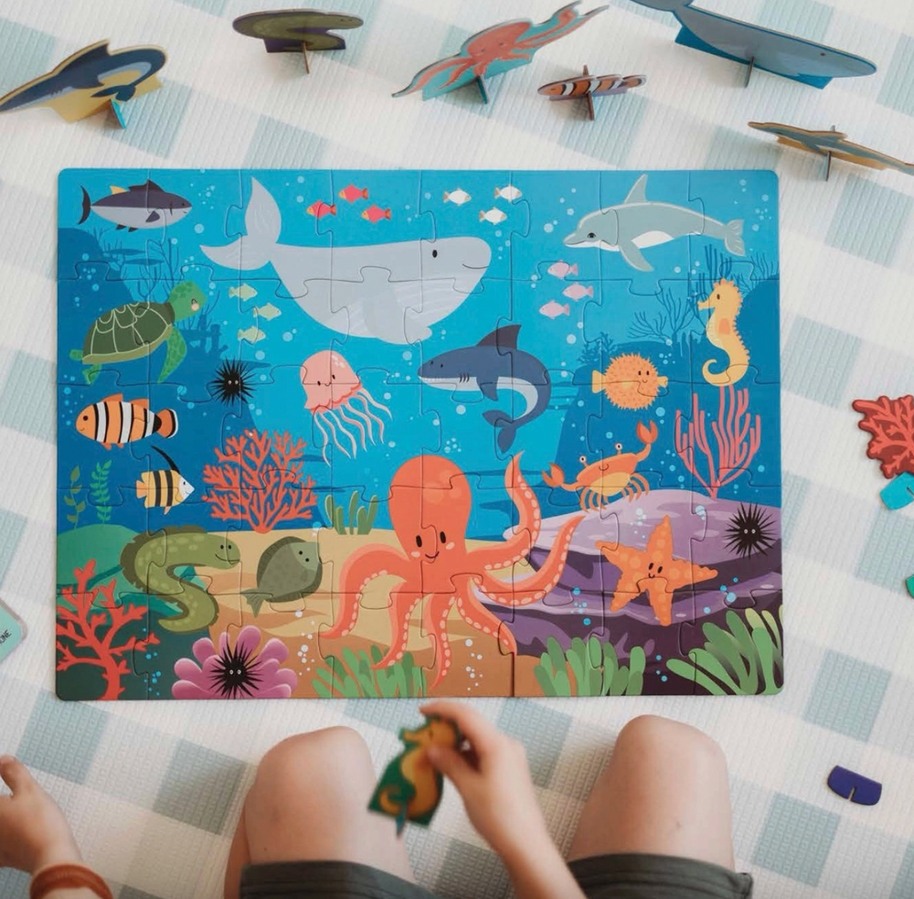 3D Puzzle and Book Set - the Sea - Sassi