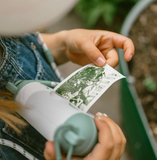 KidyRoll Thermal Paper -Coloured Paper Refill - Kidywolf