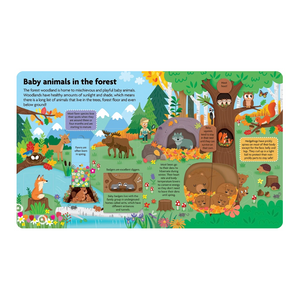 Lift the Flap Board Book - Baby Animals
