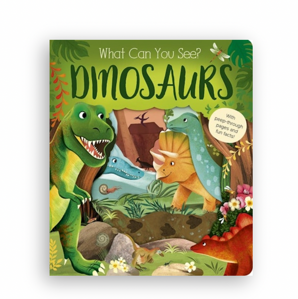 What Can You See? Dinosaurs - Board Book