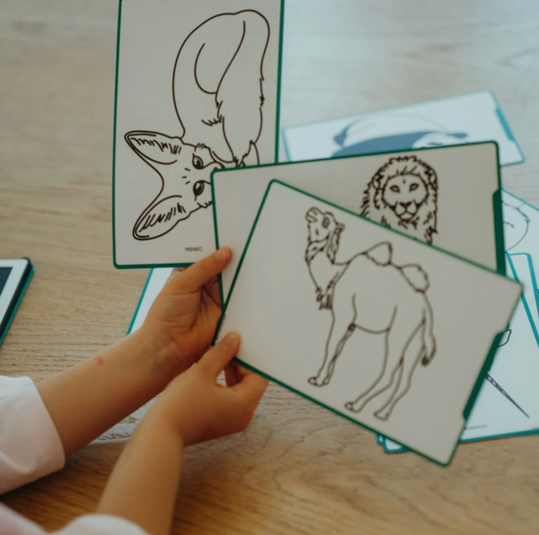 KidyDraw Mini - Animals around the World - KidyWolf