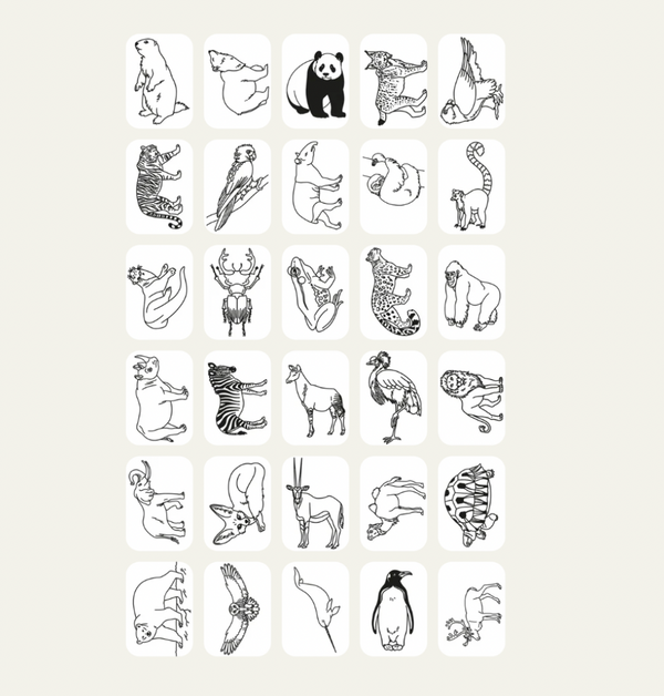 KidyDraw Mini - Animals around the World - KidyWolf