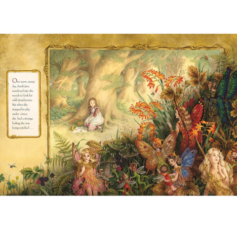 The Enchanted Woods Book- Hardback - Shirley Barber
