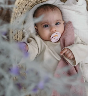 Bibs Dummies - Size Two - Blossom - BIBS Denmark